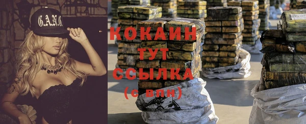 индика Надым