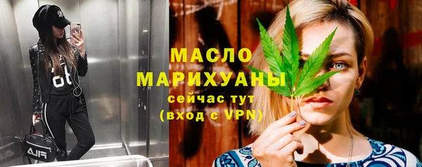 индика Надым