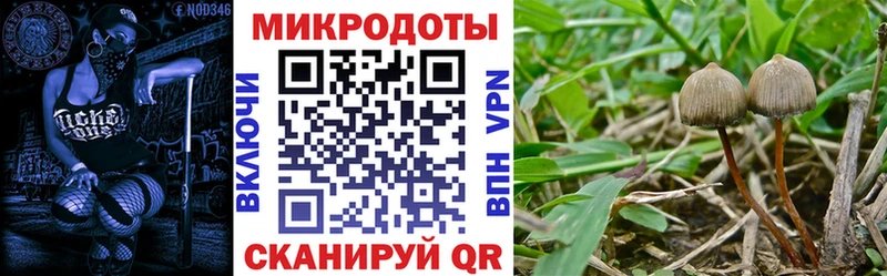 MEGA   дарнет шоп  Лебедянь  Галлюциногенные грибы Magic Shrooms 
